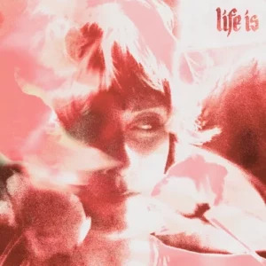 Loons | Life is