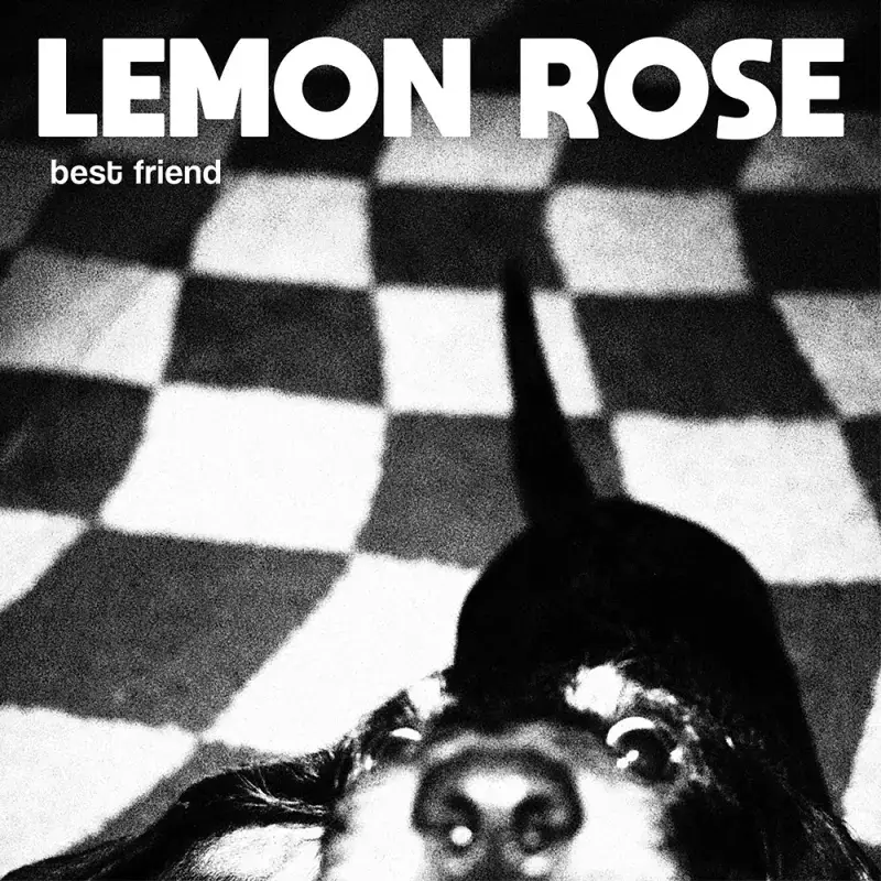 Lemon Rose | Best Friend